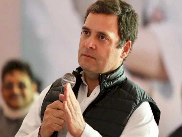 Rahul Gandhi must answer': Oil minister on fuel price hikes in Congress-ruled states