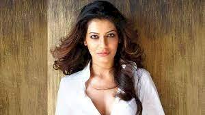 Payal Rohatgi arrested again, this time for threatening her neighbours