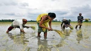 Maharashtra introduces three farm bills