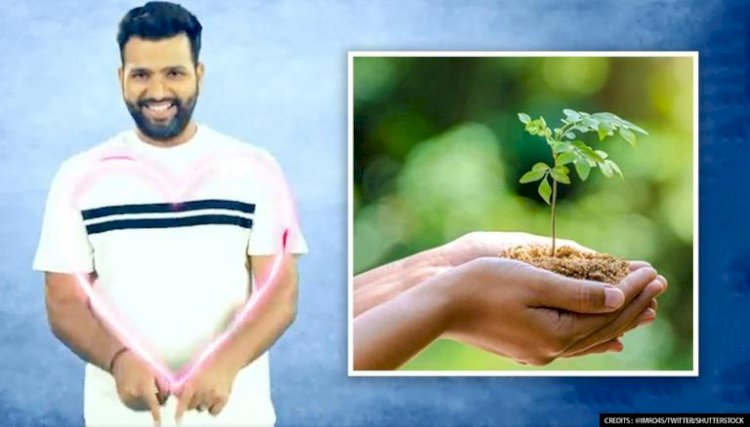 Rohit Sharma's Silent Message On Environment Day Strikes A Chord As Fans Hail 'Hitman'