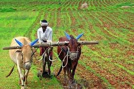 Surprise for agriculture sector