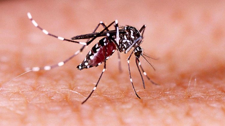 Centre sends 6-member team to Kerala to monitor Zika virus situation